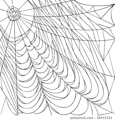 Spider web isolated on white background. Realistic hand drawn line sketch. Halloween spooky cobwebs. Outline black vector illustration. Spider web isolated on white background. Realistic hand drawn line sketch. Halloween spooky cobwebs. Outline black vector illustration. 98435581