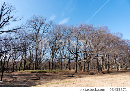 Nogawa Park, perfect for a walk, a vast park rich in nature, a clear blue sky in winter, Chofu City, Tokyo Nogawa Park, perfect for a walk, a vast park rich in nature, a clear blue sky in winter, Chofu City, Tokyo 98435871