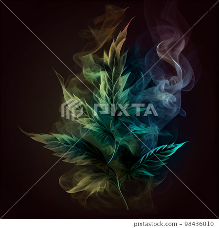 Cannabis leaves. Cannabis marijuana foliage with a purple pink tint on a black background. Large leaf of cannabis plant in purple light. 98436010