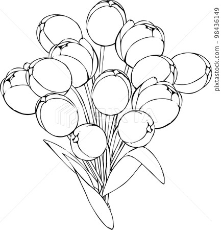 用筆劃的一束鬱金香 98436149