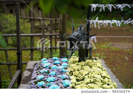 Todoroki Valley, Todoroki Valley, 東京, 日本, 自然, 綠洲, 綠色, 樹, 水, 河, Todoroki Fudoson, Shrine, Temple, Fu Todoroki Valley, Todoroki Valley, 東京, 日本, 自然, 綠洲, 綠色, 樹, 水, 河, Todoroki Fudoson, Shrine, Temple, Fu 98436874