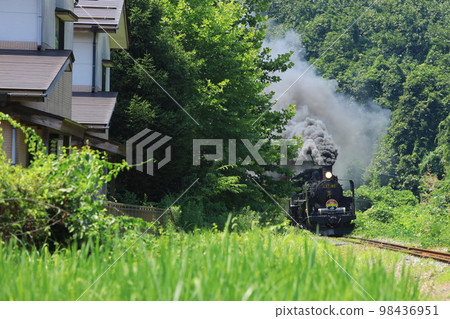 Summer's Banetsukoshi Line SL 98436951