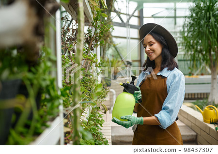 Young woman gardener caring plants treating flowers with chemicals Young woman gardener caring plants treating flowers with chemicals 98437307