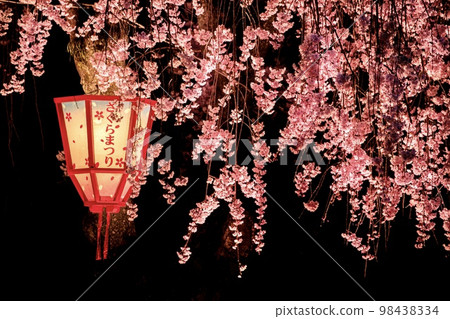 垂枝櫻花和燈籠點亮 98438334