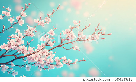 Beautiful cherry blossom or sakura tree branches on blue sky with copy space background in spring season. 98438613