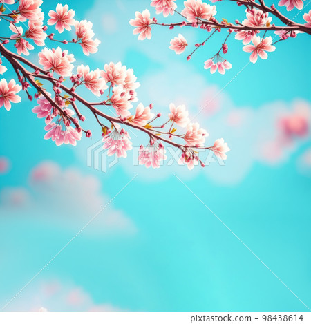 Beautiful cherry blossom or sakura tree branches on blue sky with copy space background in spring season. 98438614