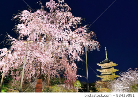 [京都] 燈火通明的東寺和富士櫻花（特別夜遊） 98439091