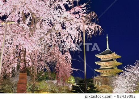 [京都] 燈火通明的東寺和富士櫻花（特別夜遊） 98439092