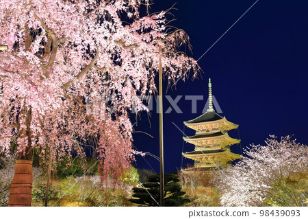 [京都] 燈火通明的東寺和富士櫻花（特別夜遊） 98439093