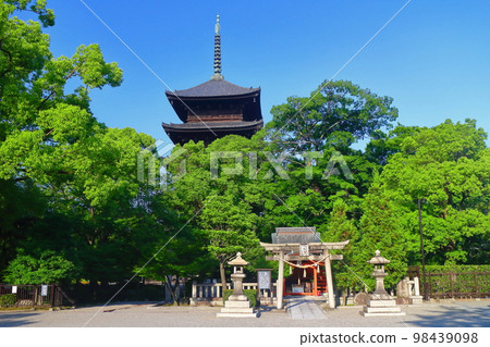 【京都府】鮮綠東寺五層寶塔 98439098