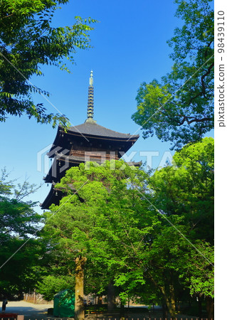 [Kyoto Prefecture] Fresh green Toji Temple Five-storied Pagoda 98439110