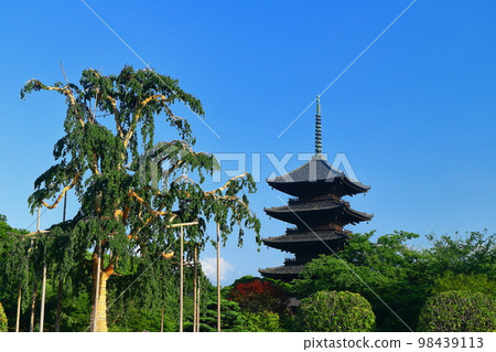 【京都府】鮮綠東寺五層塔和富士櫻花 98439113