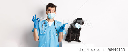 Funny black pug dog wearing medical mask, sitting near handsome veterinarian doctor showing okay sign, white background Funny black pug dog wearing medical mask, sitting near handsome veterinarian doctor showing okay sign, white background 98440133