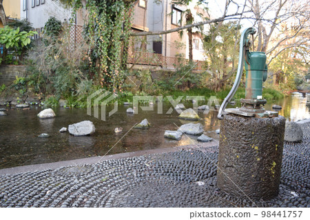 靜岡縣三島市的清流名勝禦杯川 98441757