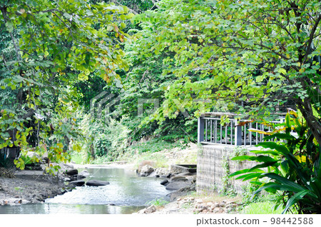 waterfall and tree in the forest and house or terrace near waterfall 98442588