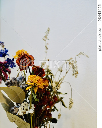 Dried rose flowers white background 98443423