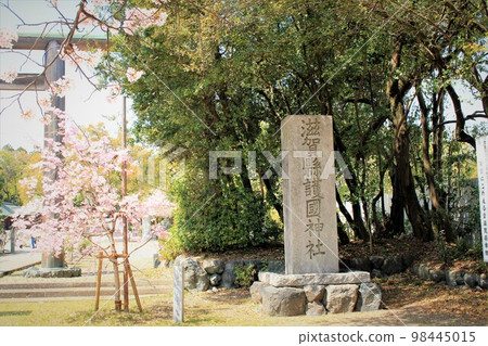 護國神社和櫻花 護國神社和櫻花 98445015