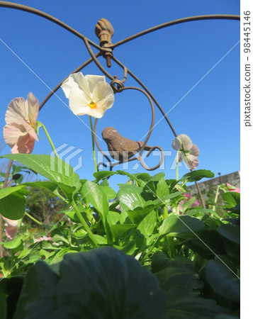 三色堇花鳥園林擺件 三色堇花鳥園林擺件 98445146