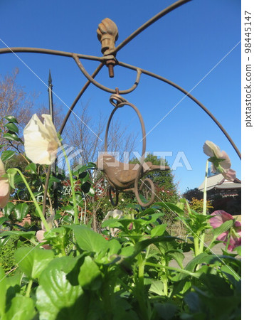 三色堇花鳥園林擺件 98445147