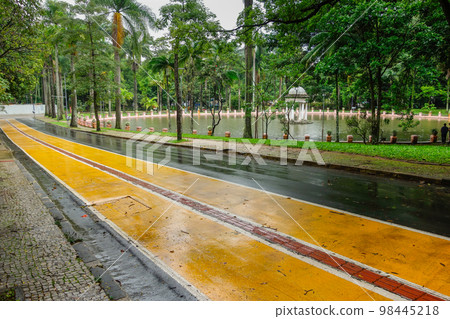 Americo Renne Giannetti municipal park in Belo Horizonte, MG, Brazil 98445218