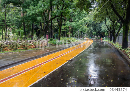 Americo Renne Giannetti municipal park in Belo Horizonte, MG, Brazil 98445274