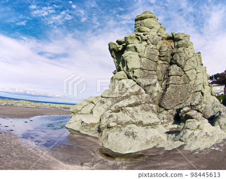 千疊敷海灘(青森縣深浦町) 千疊敷海灘(青森縣深浦町) 98445613