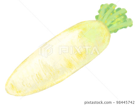 Japanese radish 98445742
