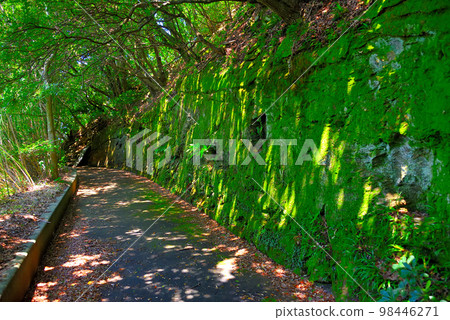 四國、愛媛、貞見崎，戰爭遺跡，通往椿山展望台的人行道是移動探照燈卡車的遺跡，愛媛縣伊方町(2) 98446271