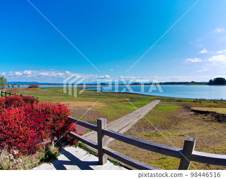 津輕富士見湖（Mawarizeki Odameike Pond）[青森縣鶴田町] 98446516