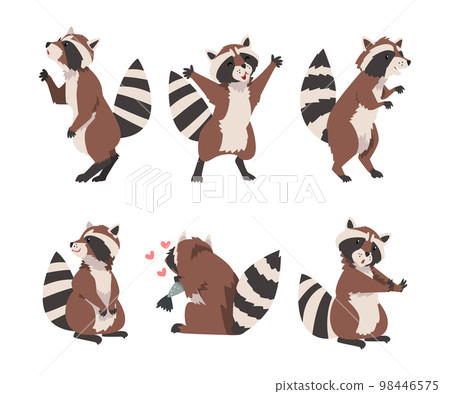 Funny Raccoon with Ringed Tail in Different Pose Vector Set 98446575