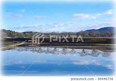 A composition in which the scenery of the river bank is reflected on the water surface of the winter rice field 98446756