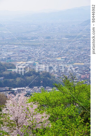 Looking toward the southern part of Tokushima City from Mt. Bizan with cherry blossoms 98446982