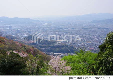 Tokushima Prefecture View of Mt. Hibo and Komatsushima City from Mt. Bizan with cherry blossoms Tokushima Prefecture View of Mt. Hibo and Komatsushima City from Mt. Bizan with cherry blossoms 98446983