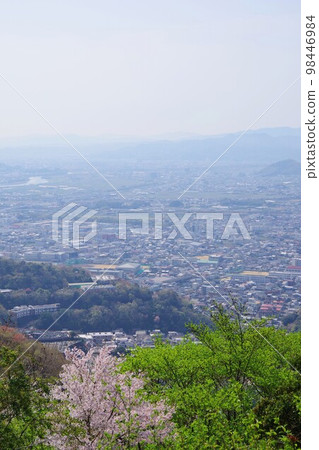 Tokushima Prefecture, View of the southern part of Tokushima City and Komatsushima City from Mt. Bizan with cherry blossoms 98446984