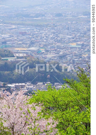 Tokushima City View of Jonan-cho and Tonya-cho from Mt. Bizan with cherry blossoms Tokushima City View of Jonan-cho and Tonya-cho from Mt. Bizan with cherry blossoms 98446985