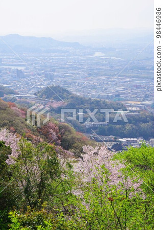 Tokushima Prefecture View of Mt. Hibo and Komatsushima City from Mt. Bizan with cherry blossoms Tokushima Prefecture View of Mt. Hibo and Komatsushima City from Mt. Bizan with cherry blossoms 98446986