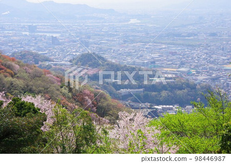 Tokushima Prefecture View of Mt. Hibo and Komatsushima City from Mt. Bizan with cherry blossoms Tokushima Prefecture View of Mt. Hibo and Komatsushima City from Mt. Bizan with cherry blossoms 98446987
