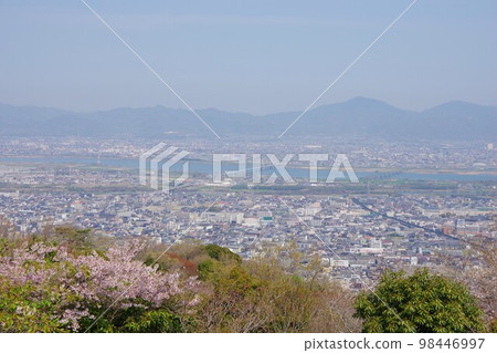 德島縣 從眉山看櫻花的會泉町和四國三郎橋 98446997