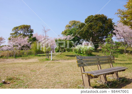Tokushima City Bizan Park with cherry blossoms Tokushima City Bizan Park with cherry blossoms 98447001