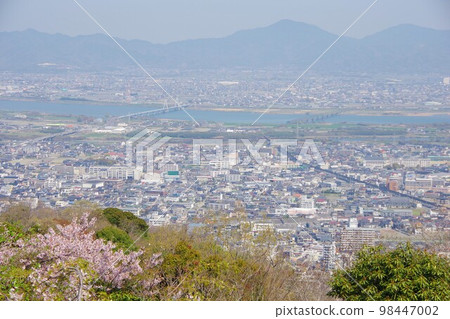 德島縣 從眉山看櫻花的會泉町和四國三郎橋 98447002