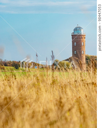 Golden feld and landscape in Putgarten near Cape Arkona on the island Ruegen 98447053