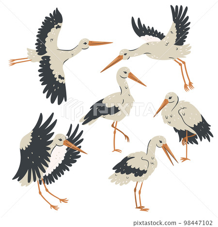 Set of storks isolated on white background. Vector graphics. Set of storks isolated on white background. Vector graphics. 98447102