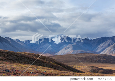 Polar tundra 98447290