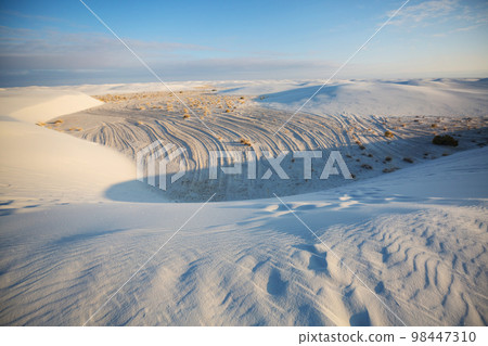 White sand dunes White sand dunes 98447310