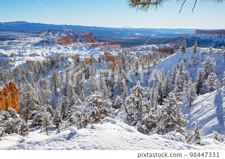 Winter Bryce Winter Bryce 98447331