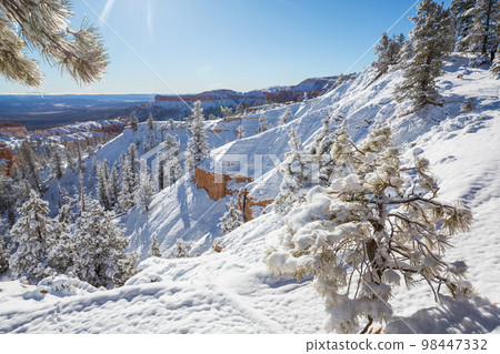 Winter Bryce 98447332