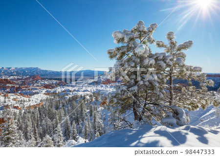 Winter Bryce Winter Bryce 98447333