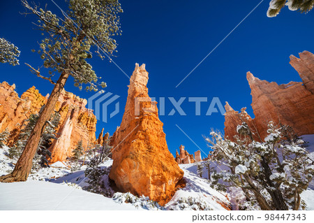 Winter Bryce 98447343