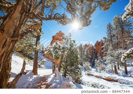 Winter Bryce 98447344