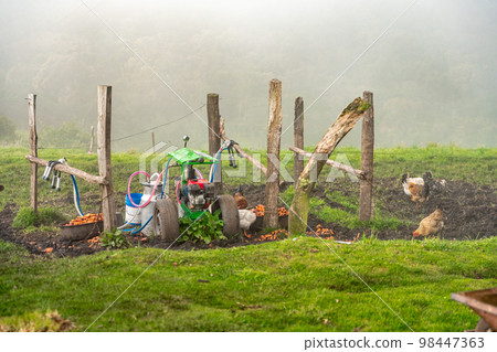 cow milking machine in farm yard cow milking machine in farm yard 98447363